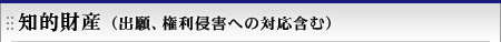 知的財産（出願、権利侵害への対応含む）